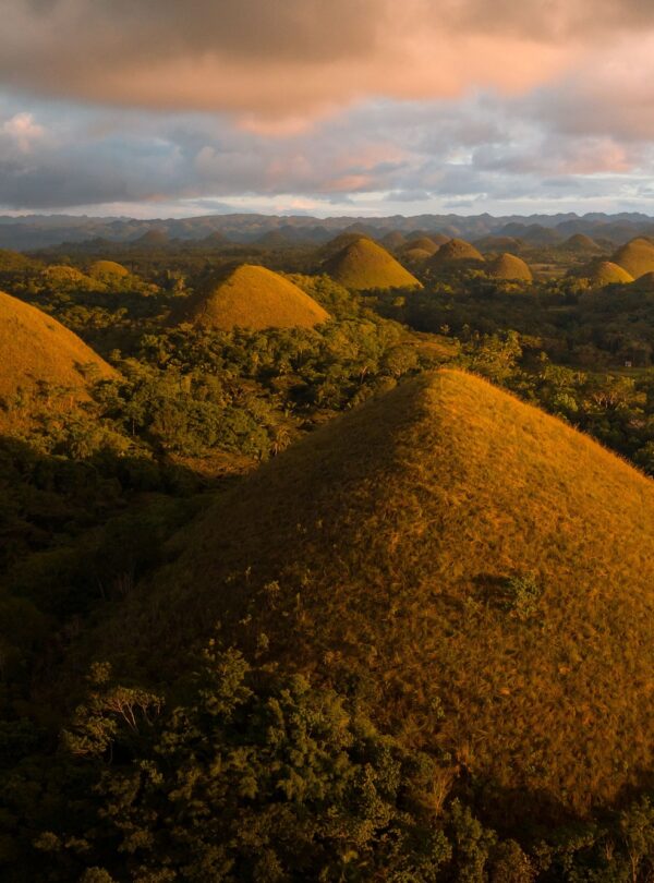Aerial view of the Chocolate Hills in Carmen, Bohol, Philippines