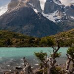 Torres del Paine National Park - Patagonia - Chile - South America